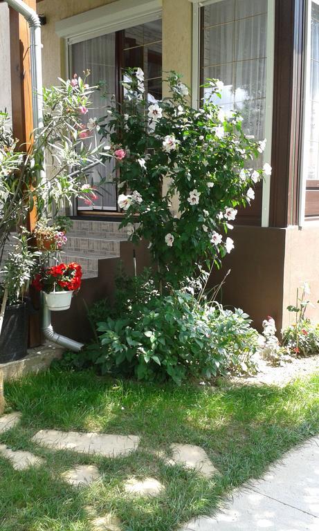 Holiday Apartmanhaz Zalakaros Εξωτερικό φωτογραφία